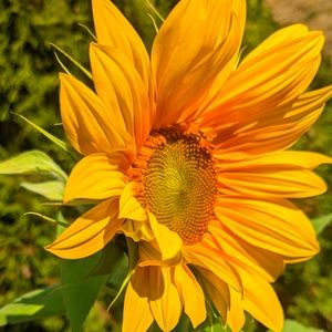 Meet your Posher, Richard